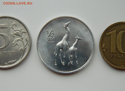 2 чон 2002 г.(Юбилейная) Жирафы до 07.03.24 - DSCN4440.JPG