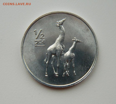 2 чон 2002 г.(Юбилейная) Жирафы до 07.03.24 - DSCN4441.JPG