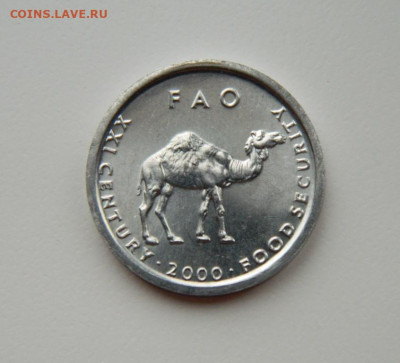 Сомали 10 шиллингов 2000 г. (ФАО) Фауна до 07.03.24 - DSCN4452.JPG