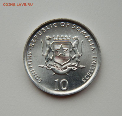 Сомали 10 шиллингов 2000 г. (ФАО) Фауна до 07.03.24 - DSCN4453.JPG