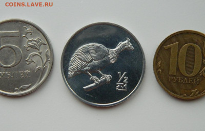 2 чон 2002 г.(Юбилейная) Птица до 11.03.24 - DSCN4431.JPG