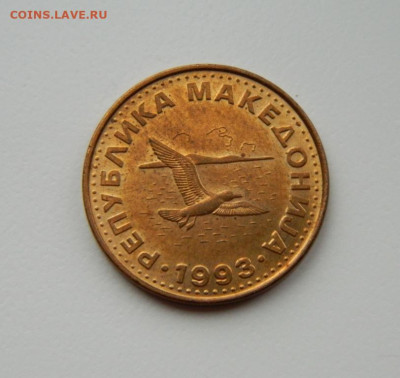 Македония 50 дени 1993 г. (Фауна) до 11.03.24 - DSCN4498.JPG