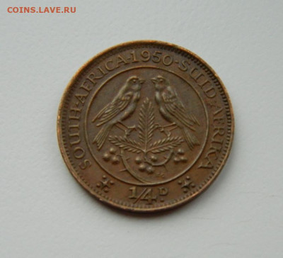 4 пенни 1950 г. (Фауна) до 11.03. - DSCN4547.JPG