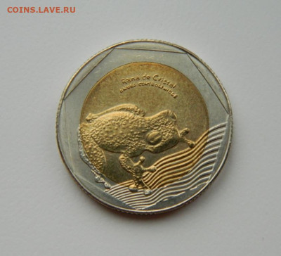 Колумбия 500 песо 2016 г. (Фауна) БИМ  до 11.03.24 - DSCN4522.JPG