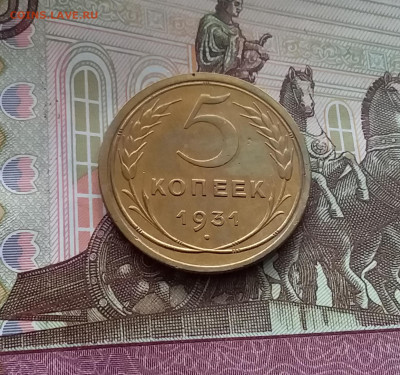 5 копеек 1931. До 10.03.24 в 22.00 - 20240305_151231
