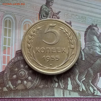 5 копеек 1955. До 10.03.24 в 22.00 - 20240305_152803