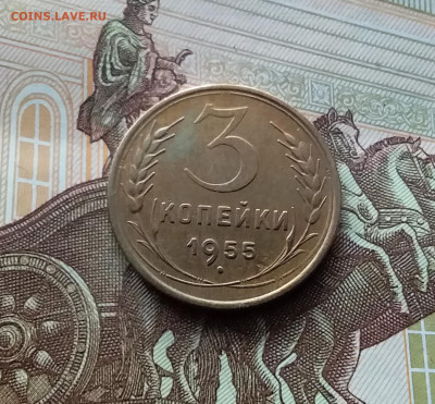 3 копейки 1955. До 10.03.24 в 22.00 - 20240305_182656