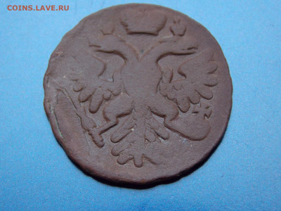 Денга 1737 года - DSCN0582.JPG