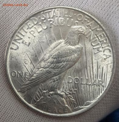 1 Доллар США 1922 (Мирный) UNC до 11.03.2024 - 33