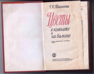 Г.К. Тавлинова ЦВЕТЫ в комнате и на б до 15.03.24 г. в 23.00 - 013