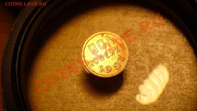 Полкопейки 1927г. Состояние!.до 14.01.12г. 22-00мск - P1040557.JPG