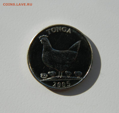 Тонга 5 сенити 2005 г. (Фауна) до 14.03.24 - DSCN4660.JPG