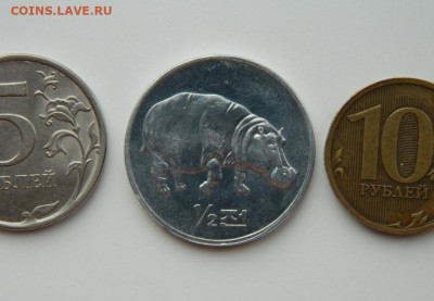 2 чон 2002 г. (Юбилейная) Бегемот до 14.03. - DSCN3665.JPG