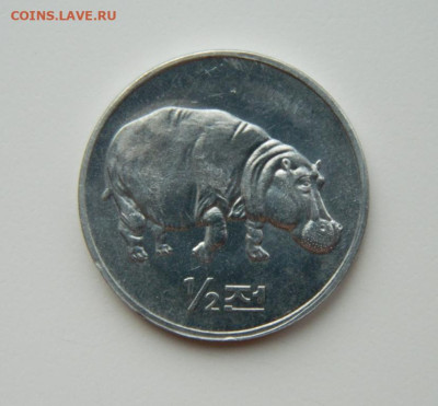 2 чон 2002 г. (Юбилейная) Бегемот до 14.03. - DSCN3666.JPG