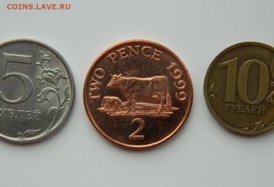 Гернси 2 пенса 1999 г. (Фауна) до 14.03.24 - DSCN3637.JPG
