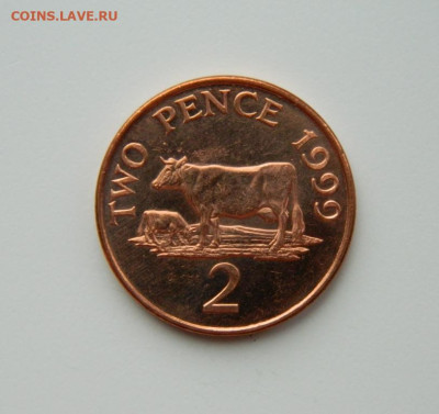 Гернси 2 пенса 1999 г. (Фауна) до 14.03.24 - DSCN3638.JPG