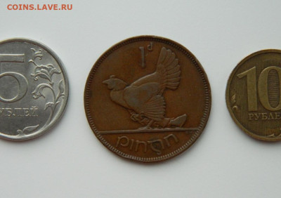 Ирландия 1 пенни 1935 г. (Фауна) Крупная! до 14.03.24 - DSCN3549.JPG