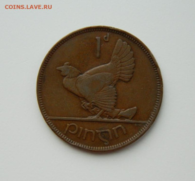 Ирландия 1 пенни 1935 г. (Фауна) Крупная! до 14.03.24 - DSCN3550.JPG