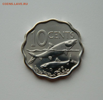 Багамские острова 10 центов 2010 г. (Фауна) до 14.03.24 - DSCN3629.JPG