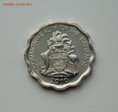 Багамские острова 10 центов 2010 г. (Фауна) до 14.03.24 - DSCN3631.JPG