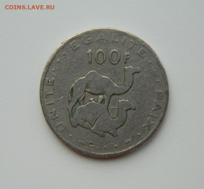 Джибути 100 франков 1977 г. (Фауна) Крупная! до 14.03.24 - DSCN3615.JPG