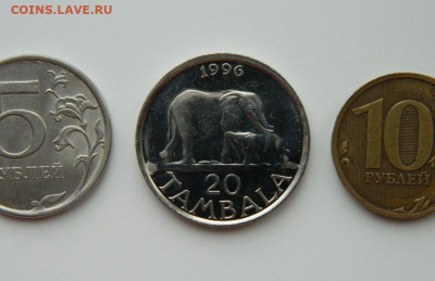 Малави 20 тамбала 1996 г. (Фауна) до 14.03.24 - DSCN3206.JPG