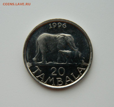 Малави 20 тамбала 1996 г. (Фауна) до 14.03.24 - DSCN3207.JPG