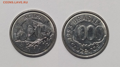 Бразилия 1000 крузейро 1993 г, Скалярия - 12.03 - IMG_20240308_103713