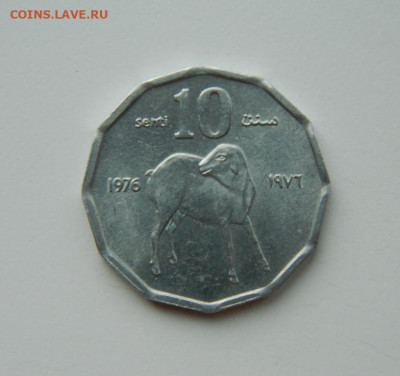 Сомали 10 центов 1976 г. (Фауна)  до 16.03.24 - DSCN4753.JPG