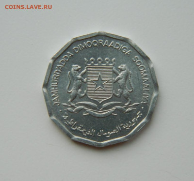 Сомали 10 центов 1976 г. (Фауна)  до 16.03.24 - DSCN4754.JPG