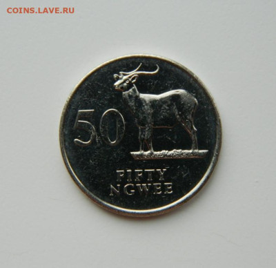 Замбия 50 нгве 1992 г. (Фауна) до 16.03.24 - DSCN4771.JPG