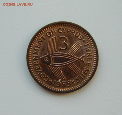 Британский Кипр 3 милс 1955 г. (Рыба) до 17.03.24 - DSCN4862.JPG