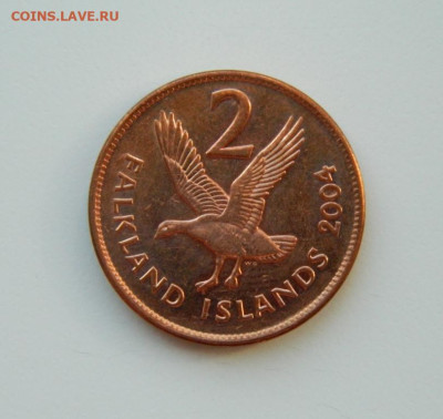 Фолклендские острова 2 пенса 2004 г. (Фауна). до 17.03.24 - DSCN4877.JPG