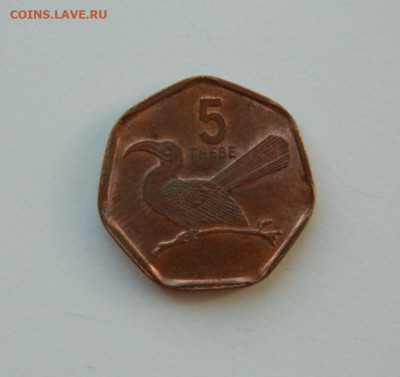 Ботсвана 5 тхебе 1998 г. (Фауна). до 17.03.24 - DSCN4866.JPG