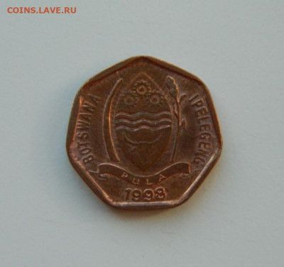 Ботсвана 5 тхебе 1998 г. (Фауна). до 17.03.24 - DSCN4867.JPG