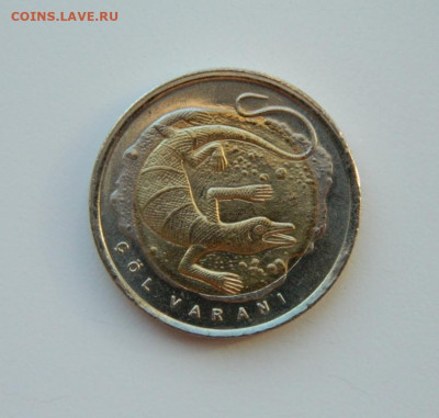 Турция 1 лира 2015 г. (Юбилейная) Варан 17.03.24 - DSCN4851.JPG