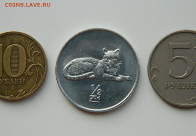 2 чон 2002 г. (Юбилейная) Леопард до 18.03. - DSCN5004.JPG
