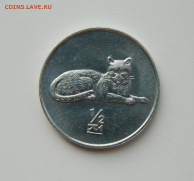 2 чон 2002 г. (Юбилейная) Леопард до 18.03. - DSCN5005.JPG