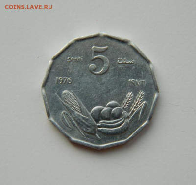 Сомали 5 центов 1976 г. (ФАО) до 18.03.24 - DSCN4975.JPG