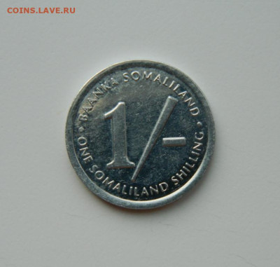 Сомалиленд 1 шиллинг 1994 г. (Фауна) до 18.03.24 - DSCN5049.JPG