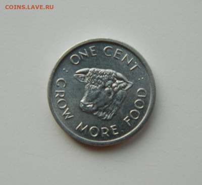Британские Сейшельские острова 1 цент 1972 г. (ФАО) до 18.03 - DSCN4962.JPG
