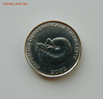 Восточный Тимор 1 сентаво 2003 г. (Фауна) до 19.03.24 - DSCN5235.JPG