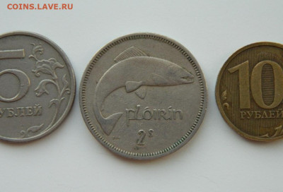 Ирландия 1 флорин 1962 г. (Фауна)  до 19.03.24 - DSCN5183.JPG