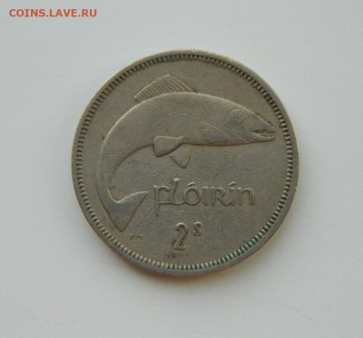 Ирландия 1 флорин 1962 г. (Фауна)  до 19.03.24 - DSCN5184.JPG