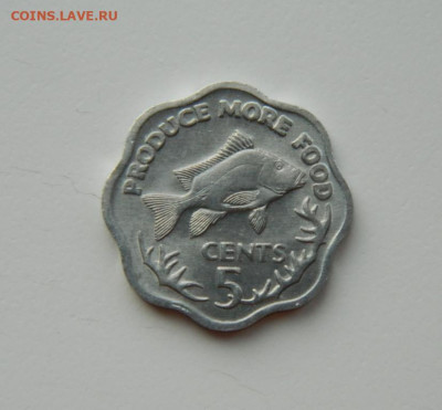 Сейшельские о-ва 5 центов 1977 г.(Фауна) ФАО до 19.03.24 - DSCN5068.JPG