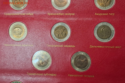Набор Красная книга (дез Джейрана) до 22.00 17.03.2024 - 20240314_142706