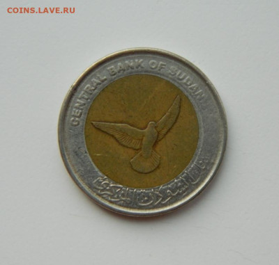 Судан 50 пиастров 2006 г. (БИМ) Фауна до 21.03.24 - DSCN5010.JPG