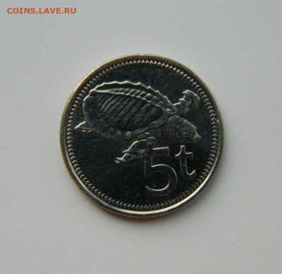 Папуа-Новая Гвинея 5 тойя 2009 г. (Фауна)  до 21.03.24 - DSCN5030.JPG