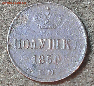 Полушка 1850г ЕМ ,до 19.3.24г в 22:00 мск - IMAG0325_1