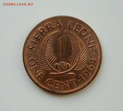 Сьерра-Леоне 1 цент 1964 г. до 21.03.24 - DSCN5073.JPG